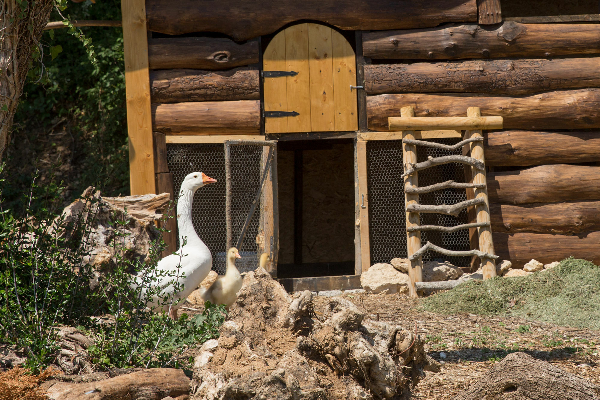 סרטאנו Agriturismo Le Anfore מראה חיצוני תמונה